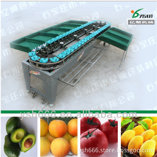 Avocado sorting machine YSXS-38-7-50